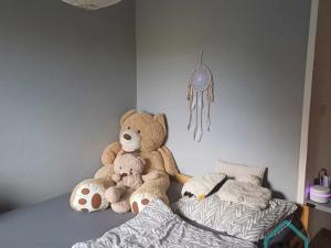 Pronájem bytu 2+1, Krnov - Pod Bezručovým vrchem, Rooseveltova, 54 m2