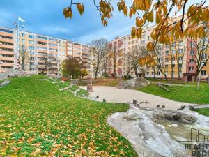 Pronájem bytu 1+kk, Ostrava - Moravská Ostrava, Lechowiczova, 25 m2