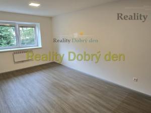 Pronájem bytu 1+kk, Opava, Hany Kvapilové, 30 m2