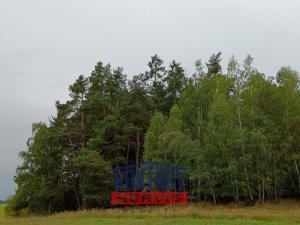 Prodej lesa, Budětice - Vlkonice, 32746 m2