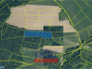 Prodej lesa, Budětice - Vlkonice, 32746 m2