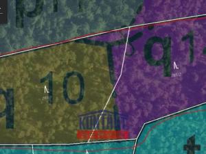 Prodej lesa, Budětice - Vlkonice, 32746 m2