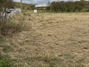 Prodej komerčního pozemku, Hustopeče, 2813 m2