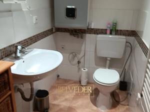 Pronájem bytu 1+kk, Teplice, Rokle, 34 m2