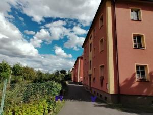 Pronájem bytu 2+1, Žatec, Purkyněho, 54 m2