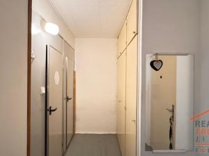 Prodej bytu 1+1, Hradec Králové, Truhlářská, 35 m2