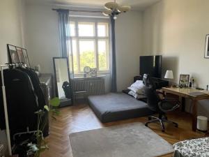 Pronájem bytu 3+1, Praha, Vinohradská, 110 m2