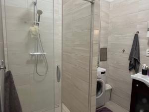 Pronájem bytu 3+1, Praha, Vinohradská, 110 m2