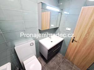 Pronájem bytu 1+1, Hradec Králové, Pražská třída, 45 m2