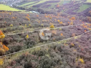 Prodej zahrady, Újezdec, 1891 m2