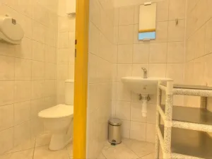 Prodej obchodního prostoru, Studenec, 265 m2