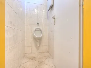 Prodej obchodního prostoru, Studenec, 265 m2