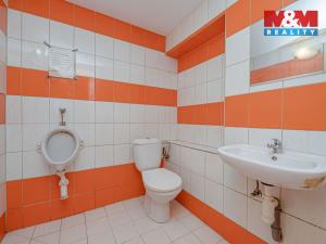 Prodej rodinného domu, Teplice nad Metují - Zdoňov, 300 m2