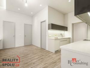 Prodej bytu 3+1, Liberec - Liberec I-Staré Město, U Náspu, 107 m2