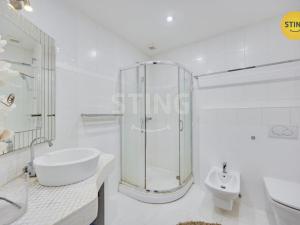 Pronájem rodinného domu, Mikulov, Bezručova, 204 m2