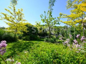 Pronájem rodinného domu, Mikulov, Bezručova, 204 m2