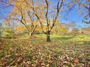 Prodej pozemku pro bydlení, Otice, Rybníčky, 1049 m2