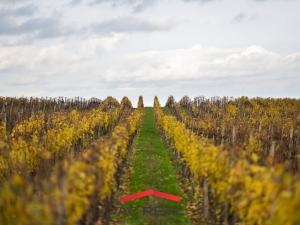 Prodej bytu 2+kk, Strachotín, Šakvická, 46 m2