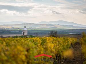 Prodej bytu 2+kk, Strachotín, Šakvická, 46 m2