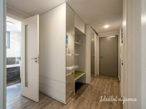 Pronájem bytu 2+kk, Praha - Žižkov, Hartigova, 58 m2