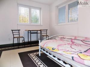 Prodej ubytování, Lobendava, 325 m2