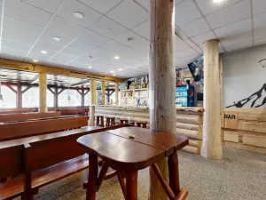 Pronájem ubytování, Loučná pod Klínovcem - Loučná, 229 m2