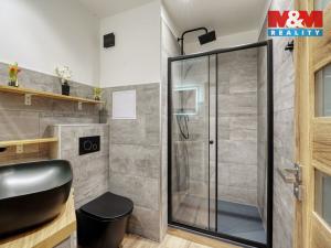 Prodej bytu 1+kk, Horní Bříza, U Vrbky, 25 m2