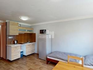 Pronájem ubytování, Loučná pod Klínovcem - Loučná, 370 m2