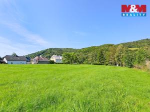 Prodej pozemku pro bydlení, Loučná nad Desnou - Kociánov, 8815 m2