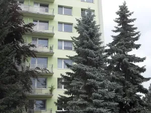 Pronájem bytu 2+1, Tábor, Sokolovská, 60 m2