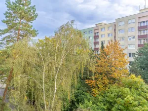 Prodej bytu 2+kk, Mladá Boleslav, U stadionu, 61 m2