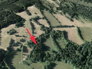 Prodej lesa, Trutnov, 28206 m2