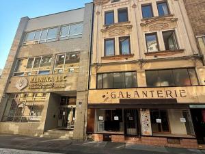 Pronájem obchodního prostoru, Ostrava - Moravská Ostrava, Velká