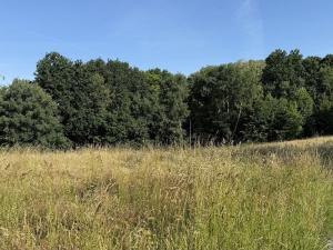 Pronájem louky, Ostrava - Polanka nad Odrou, K Lípě, 9850 m2