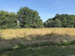 Pronájem louky, Ostrava - Polanka nad Odrou, K Lípě, 9850 m2