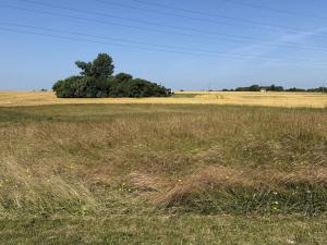 Pronájem louky, Ostrava - Polanka nad Odrou, K Lípě, 9850 m2