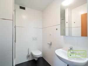 Pronájem bytu 1+kk, Praha, Hartigova, 28 m2