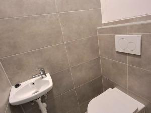 Pronájem bytu 2+1, Velké Opatovice, Hliníky, 55 m2