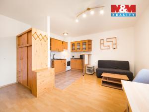 Pronájem bytu 1+kk, Praha - Libeň, Kašparovo náměstí, 29 m2