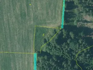 Prodej lesa, Nová Bystřice, 708 m2