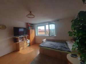 Pronájem bytu 1+kk, Tišnov, Klášterská, 30 m2