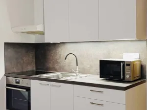 Pronájem bytu 1+kk, Zlín, Na Honech I, 27 m2