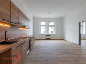 Pronájem bytu 2+kk, Plzeň - Jižní Předměstí, Karlova, 56 m2