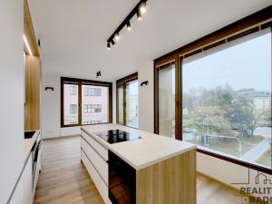 Pronájem bytu 2+kk, Brno - Veveří, Slovákova, 54 m2