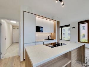 Pronájem bytu 2+kk, Brno - Veveří, Slovákova, 54 m2