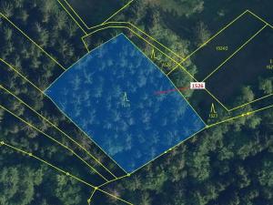 Dražba lesa, Jablonec nad Jizerou, 2579 m2
