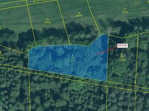 Dražba lesa, Stehlovice, 2071 m2