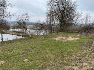 Dražba zemědělské usedlosti, Čechtice, 1039 m2