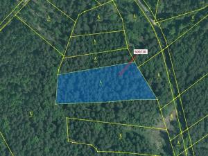 Dražba lesa, Jílovice, 5755 m2