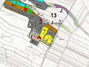 Dražba lesa, Přemyslovice, 7049 m2